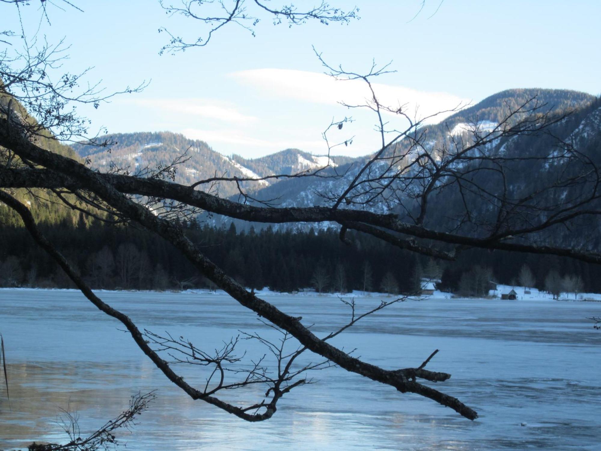 Ferienwohnung Moser Am See Millstatt am See Zewnętrze zdjęcie