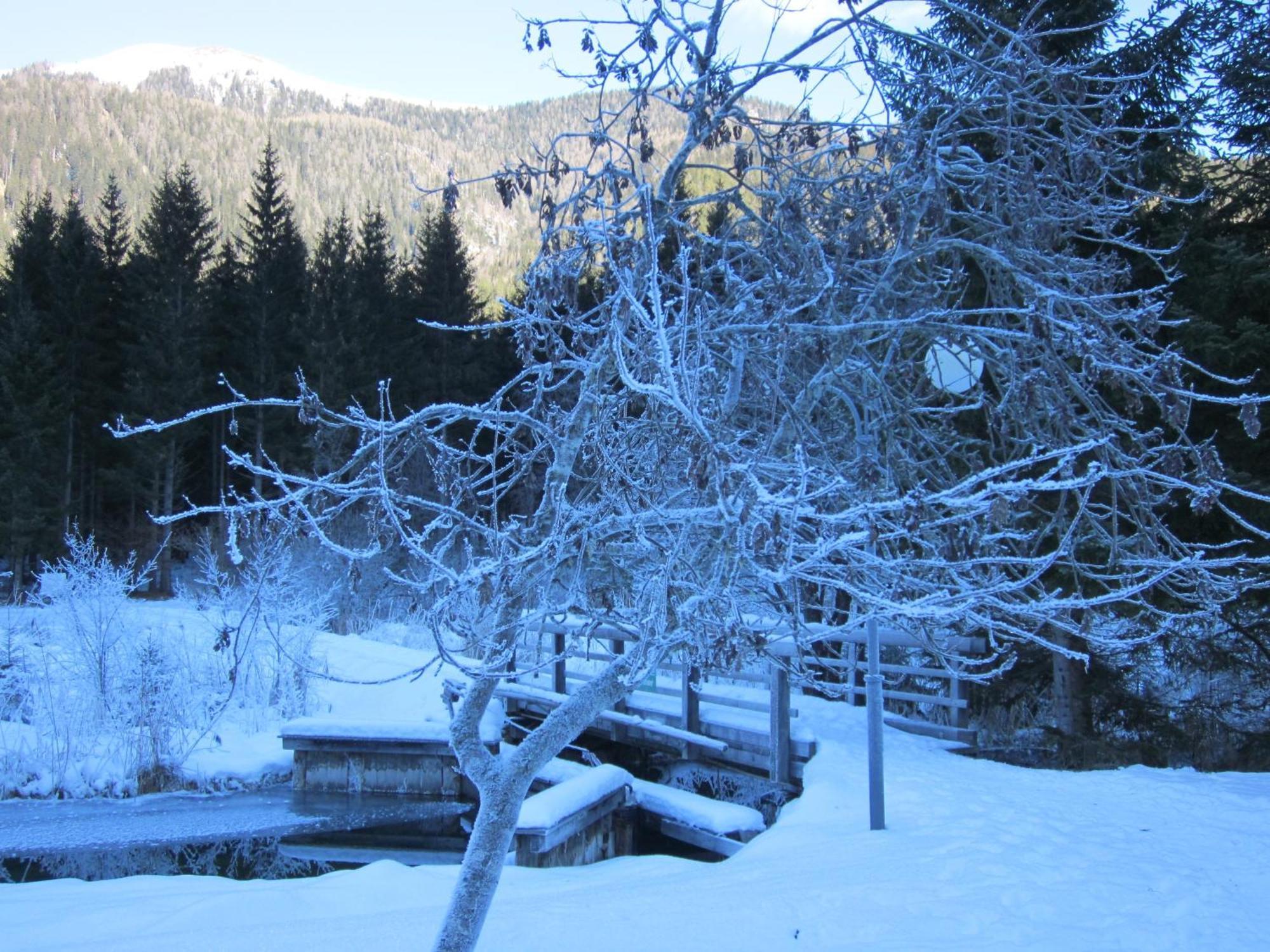 Ferienwohnung Moser Am See Millstatt am See Zewnętrze zdjęcie